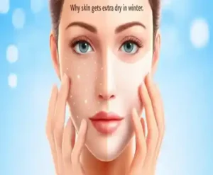 겨울철 얼굴 보습제를 고르는 법