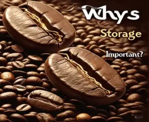 신선한 원두 보관하는 방법과 팁