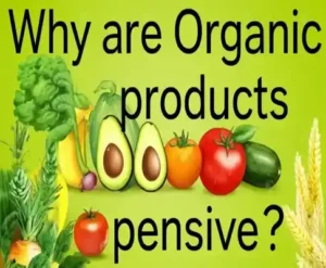 유기농 제품을 저렴하게 구매하기